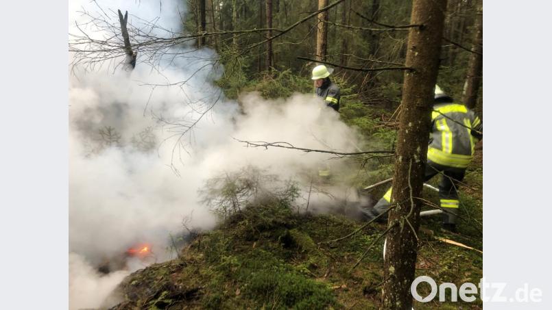 Ein ausgedehnter Torfbrand ruft die Feuerwehr im Waldgebiet zwischen Weiden und Parkstein auf den Plan. Bild: Feuerwehr Weiden