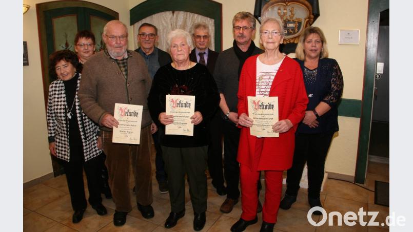 Im Mittelpunkt des Nachmittags stehen Ehrungen langjähriger Mitglieder, (vorne von links) Walter Aigner, Gerda Kopietz und Hannelore Bienlein-Holl. Es gratulieren (hinten von links) Ehrenmitglied Minne Weiß, Brigitte Scharf, Gustl Sperber, Edwin Ulrich, Bürgermeister Wolfgang Braun und AWO-Kreisgeschäftsführerin Angelika Würner. Bild: wro