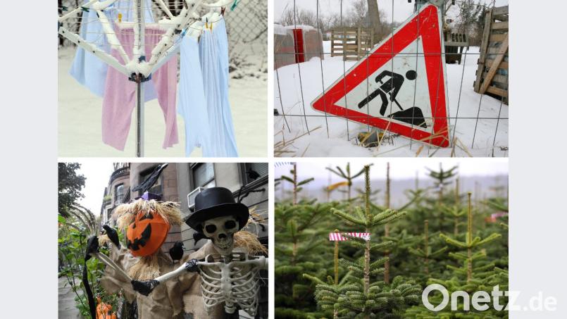 Warum? Auch 2018 sind in der Region wieder Sachen gestohlen worden, die ratlos machen. Wer kann schon eine komplette Baustellen-Beschilderung brauchen? Oder die Wäsche einer 78-jährigen Frau? Bild: Peter Steffen, Bernd Wüstneck, Johannes Schmitt-Tegge, Karl Josef-Hildebrand/dpa