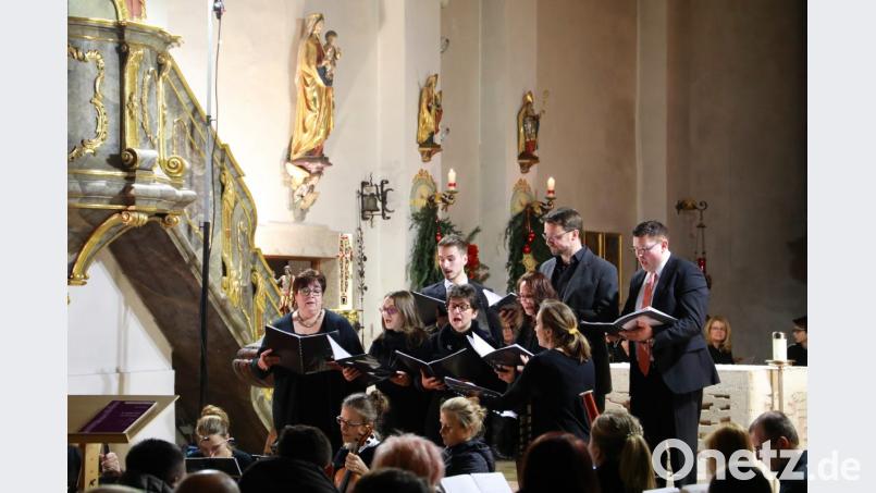 Das Ensemble "Vocalista ad Hoc" Bild: njn