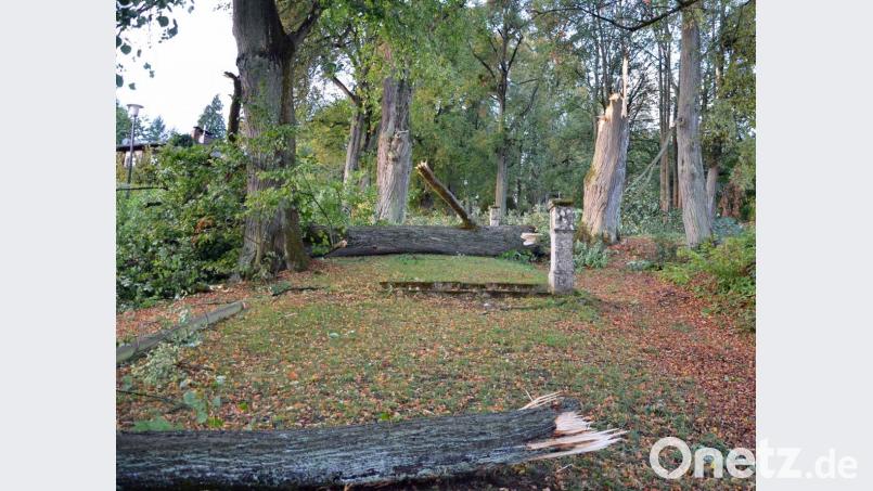 „Fabienne“ wirbelt durch die Region. Besonders Grafenwöhr sowie Alt- und Neuzirkendorf bei Kirchenthumbach sind betroffen. Die Bäume der Kirchenthumbacher Kreuzweg-Allee knickt der Sturm um wie Streichhölzer. Bild: ü