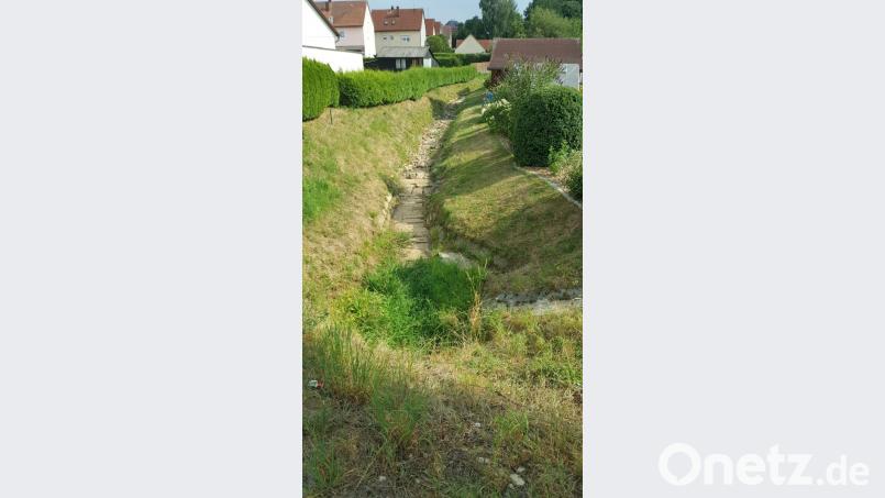 Der Grubbach in Kirchenthumbach, der in den Thumbach mündet, ist im August auf weiten Stecken ausgetrocknet. Die Hitze macht ihm sehr zu schaffen. Bild: Michael Preuschl Bild: exb