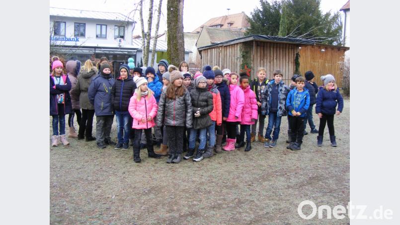 Die Grundschüler aus Tachau und Plößberg gingen gemeinsam den Plößberger Krippenweg. Bild: exb