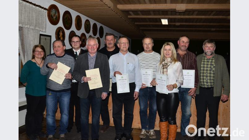 Hans Preßl, Max Voit, Eugen Frölich, Franz Peintinger, Gregor Jäger, Kerstin Krämer-Höreth und Michael Bogner (von links, mit Urkunden) lassen sich ihre Auszeichnungen für langjährige Treue nicht entgehen. Bild: fjo