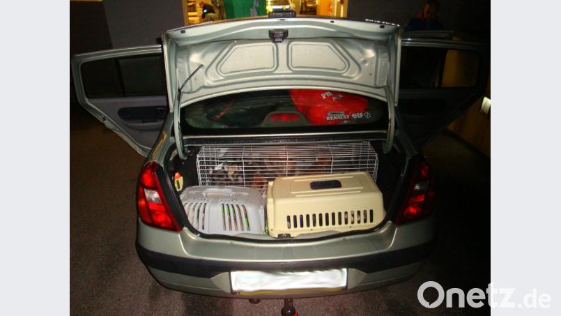 In diesem Renault Thalia waren die Tiere unterwegs. Bild: Bundespolizei