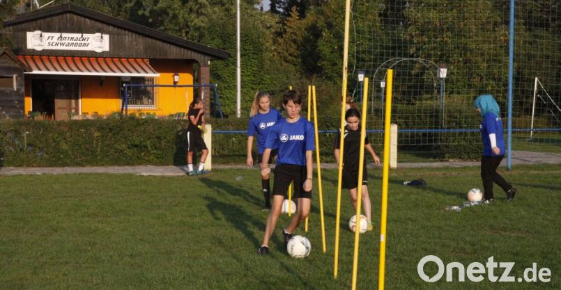Die FT Eintracht kann auf ihrem Gelände im Stadtsüden bleiben. Der Verein erhält von der Stadt einen langfristigen Pachtvertrag. Bild: Hirsch