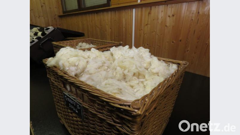 Ein Korb mit Merinowolle: Darauf schwört der Tirschenreuther Händler, denn das sei weltweit die begehrteste Wolle. Bild: ubb