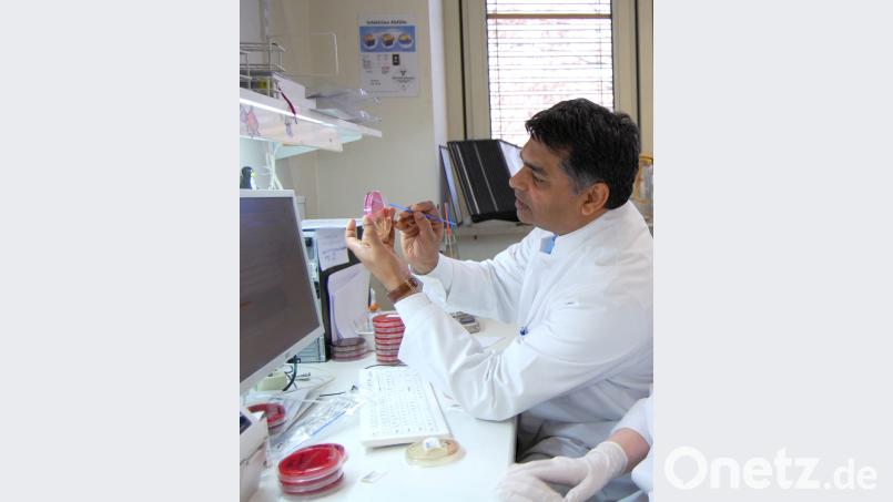 Professor Hamid Hossain, Chefarzt der Mikrobiologie am Klinikum St. Marien Amberg und dem Klinikum Weiden, bei der Arbeit. Bild: Klinikum/Gräß