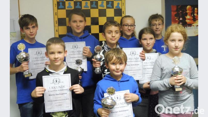 In verschiedenen Klassen kämpften die Teilnehmer bei der Schwandorfer Jugend-Stadtmeisterschaft um den Sieg. Unser Bild zeigt die erfolgreichsten Teilnehmer der Altersklassen U10 und U14. Bild: sts