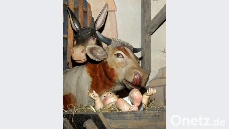 Streckt dieser Ochse dem Betrachter die Zunge raus? Und schaut dieser Esel in der Krippe in St. Georg nicht allzu spöttisch? Zumindest ein AZ-Redakteur wird das Thema, wer denn laut Bibel alles an der Krippe stand, in der das Jesukind lag, erst einmal meiden. Bild: Stephan Huber