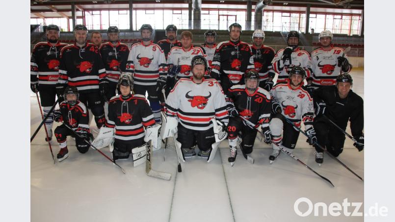 Die Eishockey-Hobbymannschaft der "Bullheads" hat sich zu einer festen Größe in der Region entwickelt. Bild: kro