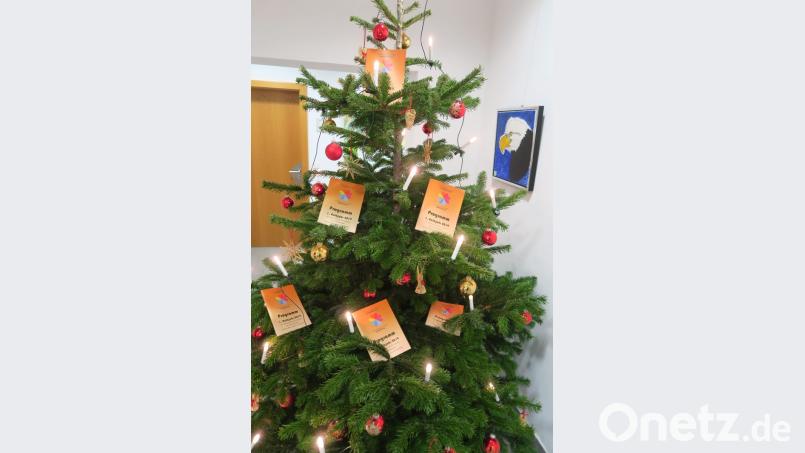 Vorstellung Seniorenprogramm Bild: ua