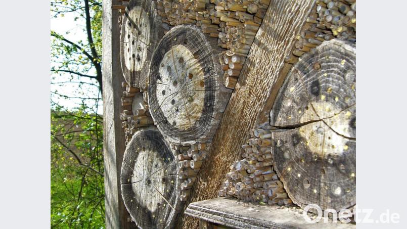 „Wildbienenhotels“, wie dieses am Naturerlebnisweg Klingenbachtal, sind nicht der rettende Strohhalm beim derzeit grassierenden Insektensterben. Ein Volksentscheid könnte da viel mehr bewirken. Bild: jml