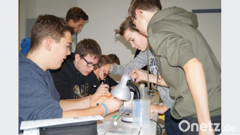 Interessiert und experimentierfreudig präsentierten sich die jungen Schüler. Bild: exb