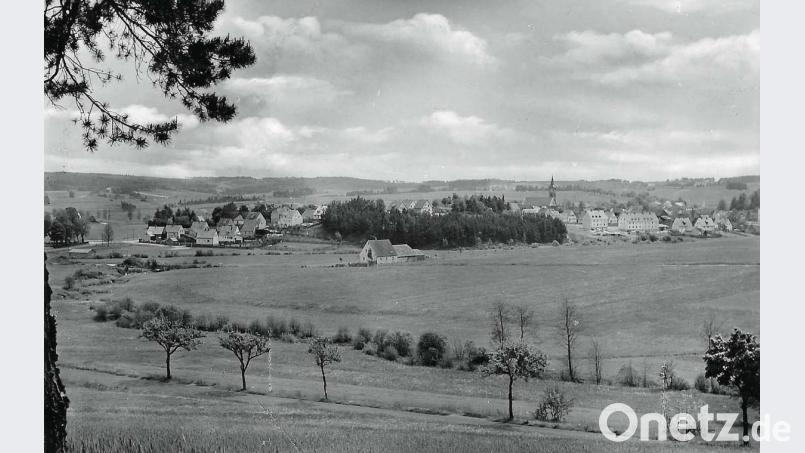 Die B 85 im Jahr 1954 kurz vor Kirchenthumbach: Zu sehen ist vorne die Trasse mit den noch relativ jungen, weil erst nach dem Krieg wieder gepflanzten Alleebäumen, dahinter der Grubbach vor der Flurbereinigung. Repro: ü