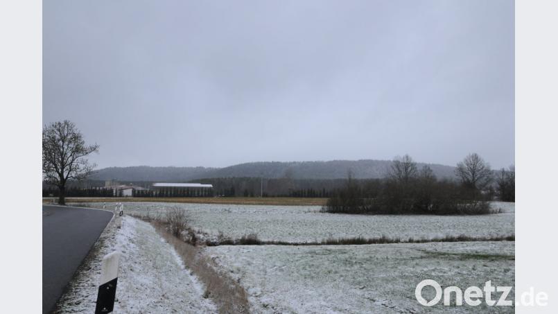 Der Schwarzenbach (dunkler Streifen im Vordergrund) wird renaturiert. Beim großen Straßenbaum (links) fuhrt die Einfahrt zur geplanten Photovoltaikanlage. Diese soll auf der freien Fläche hinter der Heckengruppe (rechte Bildhälfte) errichtet werden. Bild: bey