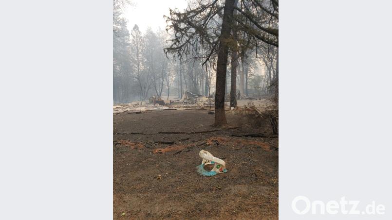 Dieses Spielzeug von ihrem Sohn Alex hatte Kerstin Norten wenige Tage vor Ausbruch des Feuers zum Mitnehmen für andere auf die Straße gestellt. Bild: privat