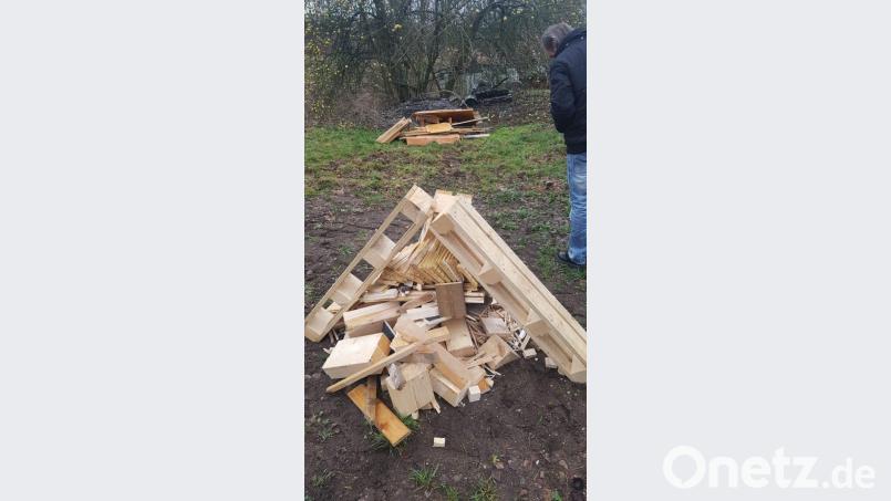 Holzhaufen, wie hier bei Pirk, haben in der Natur nichts zu suchen. Bild: fz