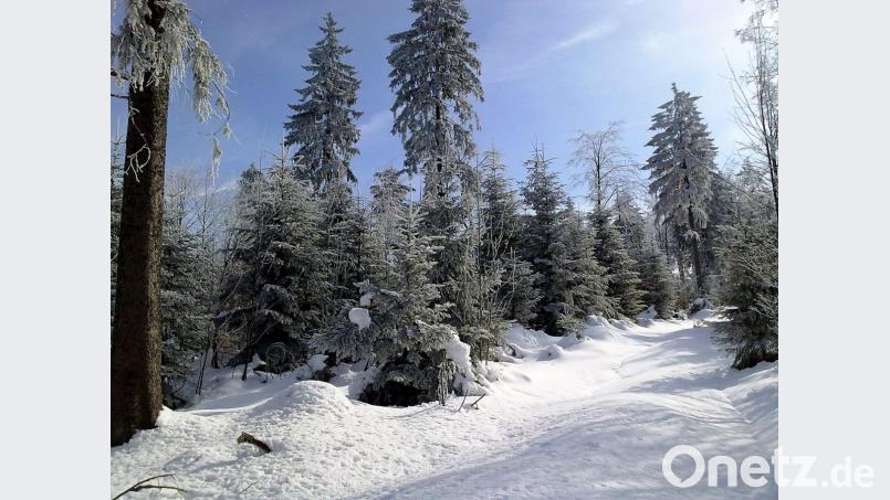 Der Schnee verwandelt den Wald rund um die Silberhütte in eine Traumlandschaft. Bild: Rainer Christoph