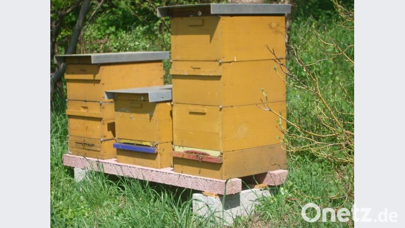 Nach dem Vorsitzenden des Imkervereins, Klaus Schmidt, soll das Angebot „Probe-Imkern“ alle ansprechen, die sich demnächst eigene Bienenstöcke zulegen wollen. Bild: njn