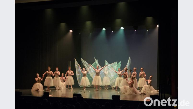 Fast völlig fehlerfrei tanzen sich die 110 Ballettschüler durch den Abend - in aufwändigen Kostümen und mit viel Hingabe zu ihrem Hobby. Bild: Judith Lehner