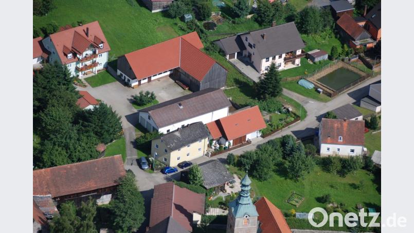 Das leidige Problem, der Löschteich, der dringend erneuert werden muss. Bild: sl