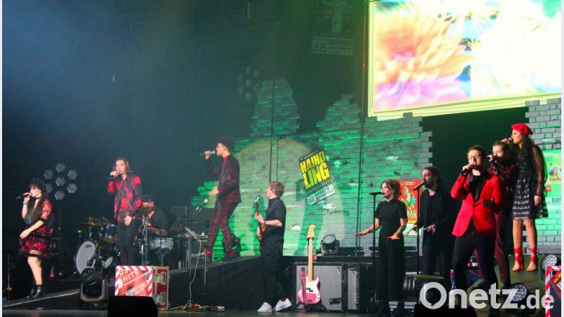 Die "Talents" aus der Castingshow "The Voice of Germany" machten am freitag Station in der Oberfrankenhalle Bayreuth. Bild: stg