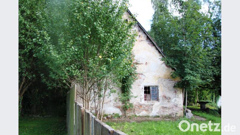 Das hinter Büschen und Bäumen versteckte und mitgenommene Zieglerhaus ist das letzte Zeugnis des blühenden Ziegler-Handwerks in Hammerharlesberg. Archivbild: cr