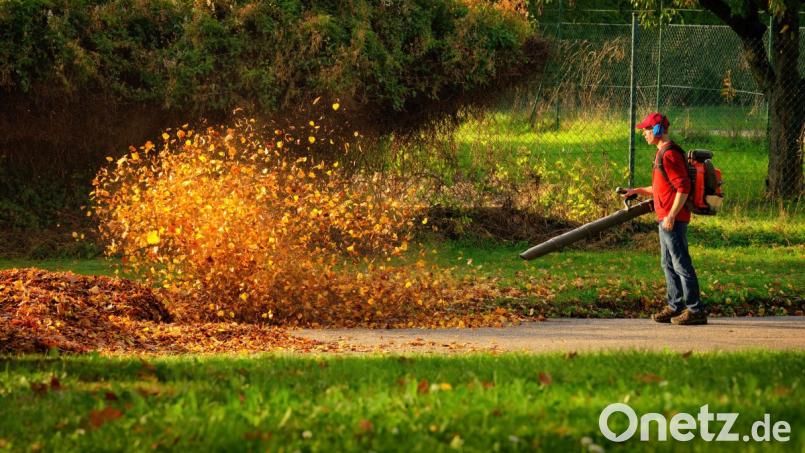 Wenn man Rücksicht übt, klappt’s auch mit dem Nachbarn. Auch exzessiver Einsatz des Laubbläsers sorgt regelmäßig für Ärger. Bild: Smileus – stock.adobe.com