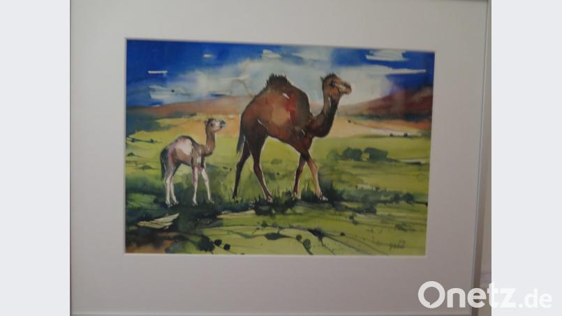 „Wüste nach dem Regen nahe Zagora“ nennt Günter Haslbeck dieses Aquarell. Bild: jzk