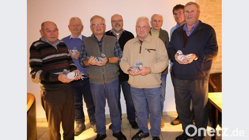 Stolz präsentieren die erfolgreichen Züchter der RV Nabburg ihre Tauben (von links): Josef Fuhrmann, Alfred Müller, Ambros Galli, Vorsitzender der Standardkommission im Brieftauben Weltverband Konrad Meierhofer, Siegfried Gersing, Wolfgang Zirwick senior, Johann Kiener junior und Johann Kiener senior. Bild: akp