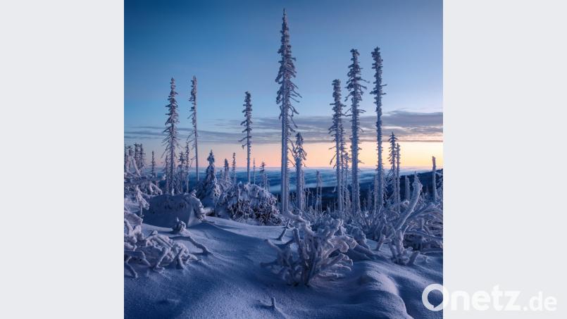 Tiefster Winter am Bayerisch Böhmischen Grenzkamm Bild: Kilian Schönberger