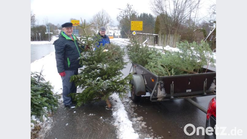 GOV-Vorsitzender Anton Schießl (im Hintergrund) und Helfer Willi Brandl holten die ausgedienten Christbäume ab. Bild: mad