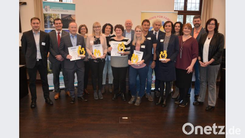 Die Preisträger und Vertreter der zwei Arbeitsgruppen des „Bündnis für Familie“ stellten sich zu einem gemeinsamen Bild. Von links: Oliver Schuller, Florian Rieder, Wolfgang Lang (Horn glass Industries), Evelyn Schrems, Linda Schwägerl (Schott AG), Iwona Schultes, Liselotte Kulzer, Jörg Kulzer (beide Möbelhaus Gleißner), Nicola Häuslmann, Matthias Schmeller (beide Schmeller-Installations-GmbH), Landrat Wolfgang Lippert, Miriam Hager (Wiesauplast), Karin Hauser-Dötterl, Koordinatorin Sabine Frank, Wolfgang Prebeck und Hilke Janssen. Bild: jr