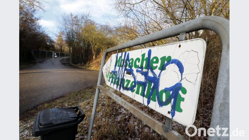 Der ehemalige Mosacher Pflanzenhof am Mosacherweg. Wo früher die Amberger ihre Bäume und andere Pflanzen für ihren Garten geholt haben, entsteht nun ein Wohngebiet für neue Amberger. Bild: Wolfgang Steinbacher