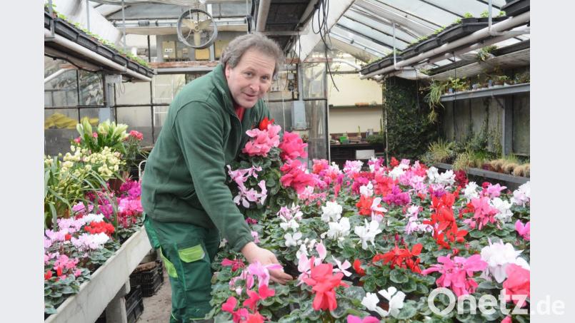 So dufte wie die Blütenpracht wird laut Gärtner-Obermeister Andreas Gloßner auch der Blumenball. Bild: Gabi Schönberger