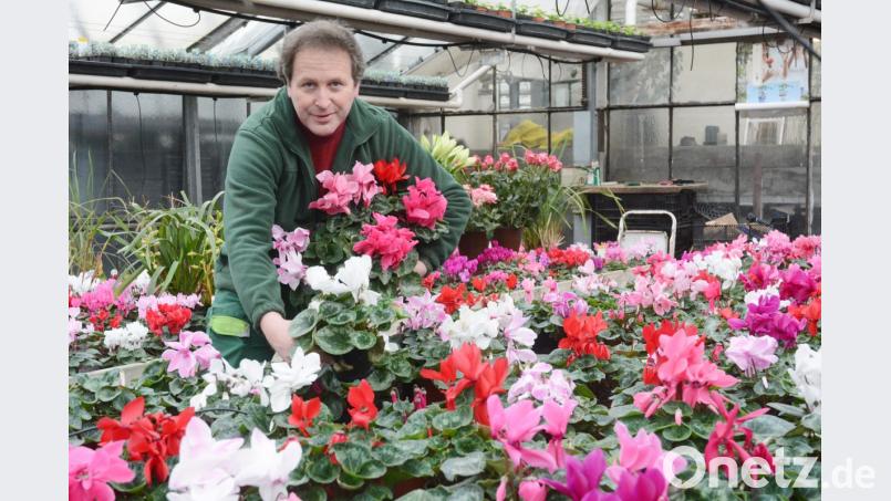 So dufte wie die Blütenpracht wird laut Gärtner-Obermeister Andreas Gloßner auch der Blumenball. Bild: Gabi Schönberger