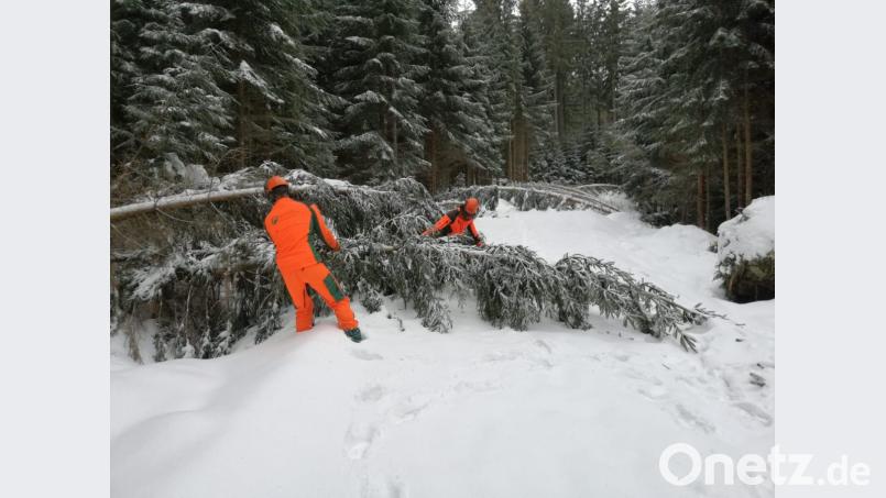 Mitarbeiter des Forstbetriebs Fichtelberg räumen Schneebruch-Bäume von der Ringloipe am Ochsenkopf. Bild: exb