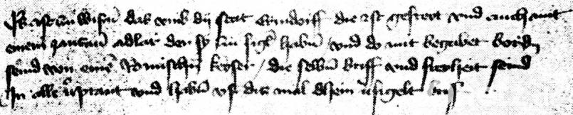 Schon 1480 schrieb der Erbendorfer Pfarrer Michael Preu von den abhanden gekommenen Urkunden und Freiheiten. Bild: njn