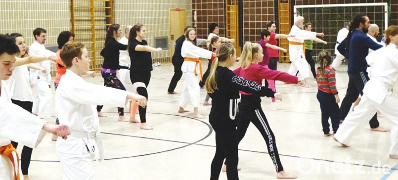 Am Samstag, 19. Januar, können angehende Kampfsportler ins Karatetraining des TV einsteigen. Bild: dob