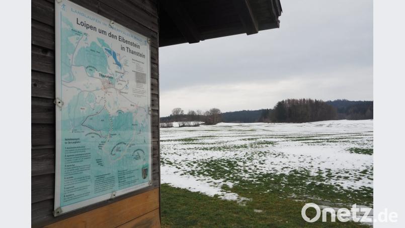 Schneemangel und ein marodes Spurgerät haben den Ausschlag dafür gegeben, das Spuren der Loipen in der Umgebung von Thanstein endgültig einzustellen. Jetzt müssen die Langläufer selbst eine Bahn ziehen, doch aktuell reicht dafür die Unterlage nicht aus. Bild: bl