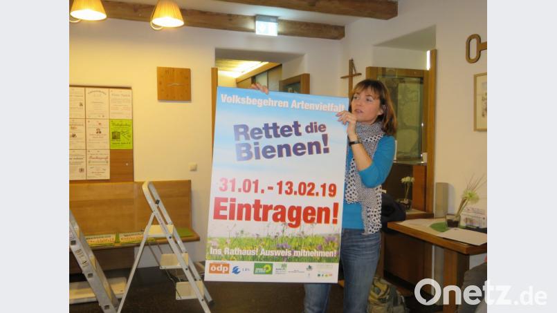 Sprecherin Angela Frank verteilte Plakate an die Aktivisten. Bild: ubb