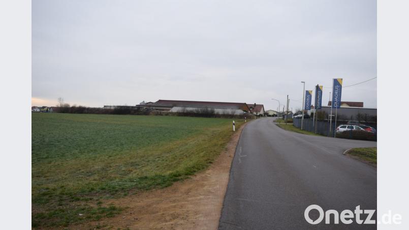 Auf der Wiese gegenüber der Firma Quadrus soll ein Parkplatz mit 320 Stellplätzen gebaut werden. Der Gemeinderat gab dafür grünes Licht. Bild: bnr