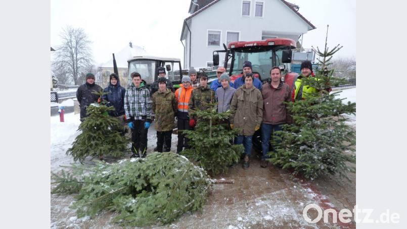 Zum neunten Mal sammelt die Jugendfeuerwehr Königstein in der Marktgemeinde ausgediente Christbäume ein. Bild: exb