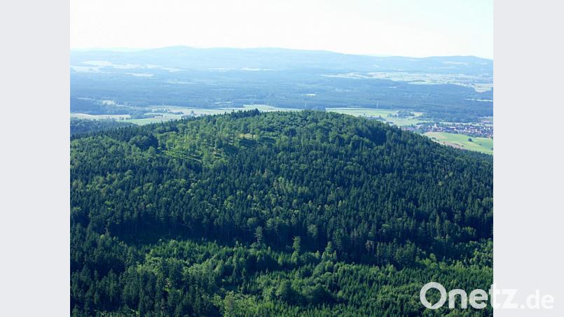 Der Pleysteiner Sulzberg bei Waidhaus weist bereits an verschiedenen Stellen die von Forstdirektor Gerhard Hösl gewünschten Lichtungen auf. Richtung Stückberg (rechts oben) nehmen die Fichtenbestände wieder zu. Archivbild: fjo