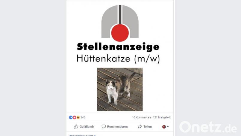 Die Stellenanzeige auf der Facebook-Seite der Glashütte. Screenshot: rti