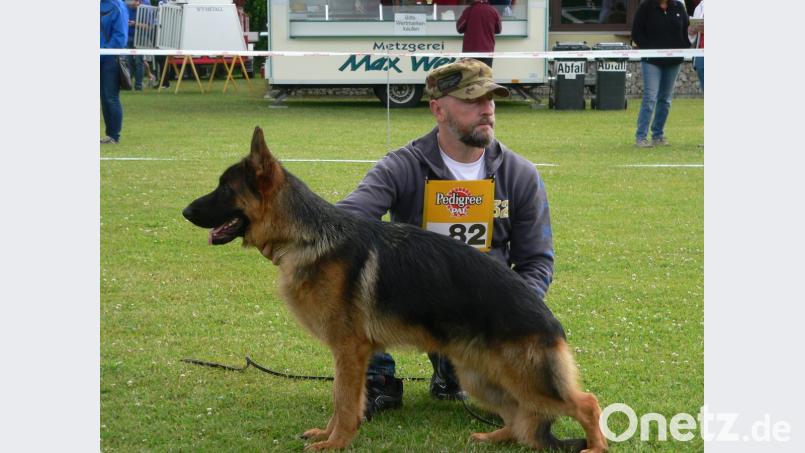 Kriterien für die Körung sind Maße, Gewicht, anatomischer Aufbau, Gebiss und Gesamtverhalten des Hundes. Bild: rn