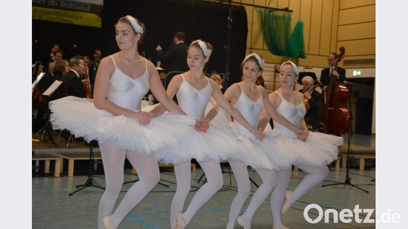 Einen Tanz aus "Schwanensee", dargebracht von diesem Quartett. Bild: jr