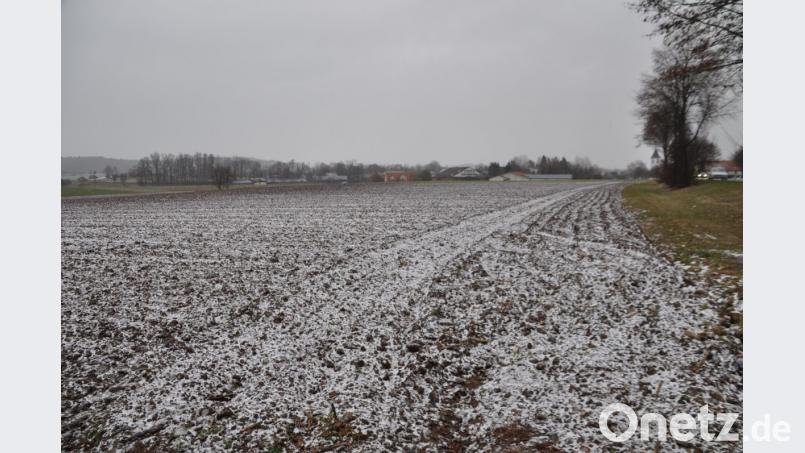 Das neue Baugebiet zwischen Netto-Markt und Fitnessstudio. Bild: ak