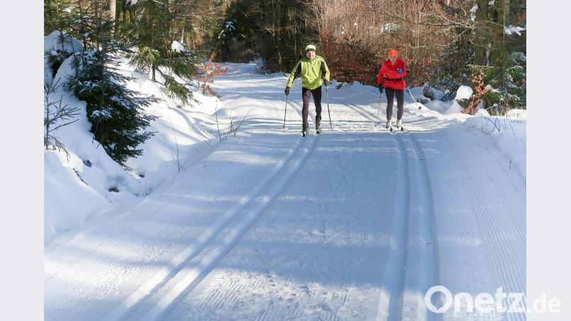 Optimale Bedingungen für Skilangläufer bietet derzeit das Loipennetz im Steinwald. Bild: bsc